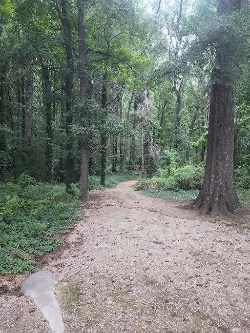Spotless 4Br Near Clt Uptown, Fast Wi-Fi Apartment Charlotte 0*,